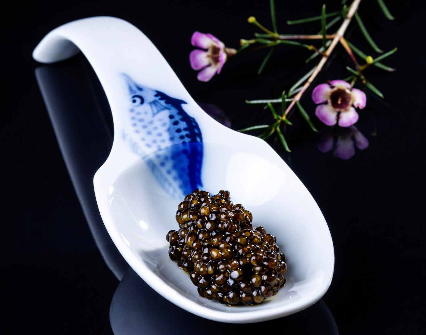 Caviar Prices in Canada: A Comprehensive Guide