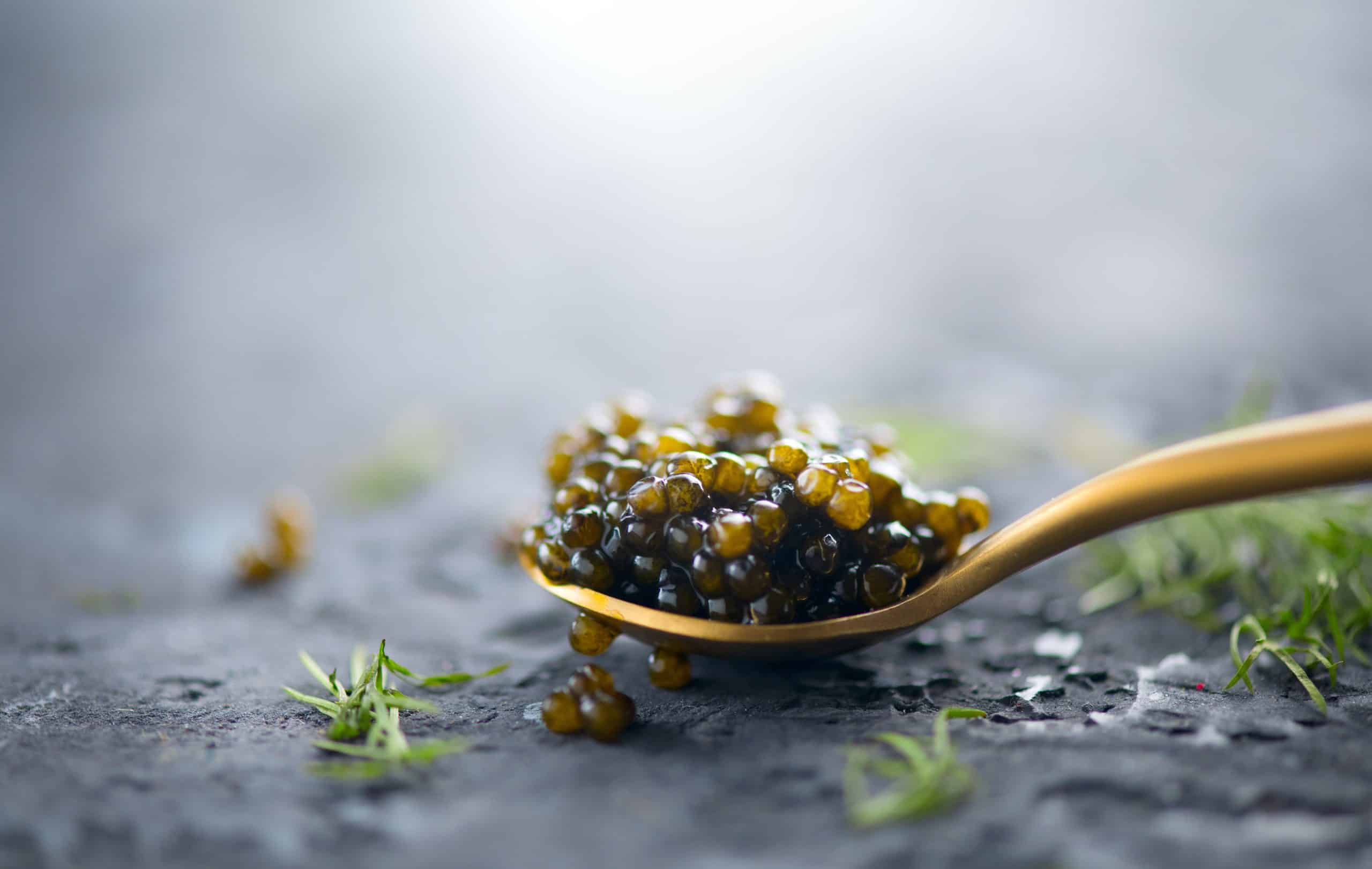 What is Caviar? Discover the Delicacy and Its History
