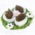 Sturgeon AMUR ROYAL & Osietra caviar