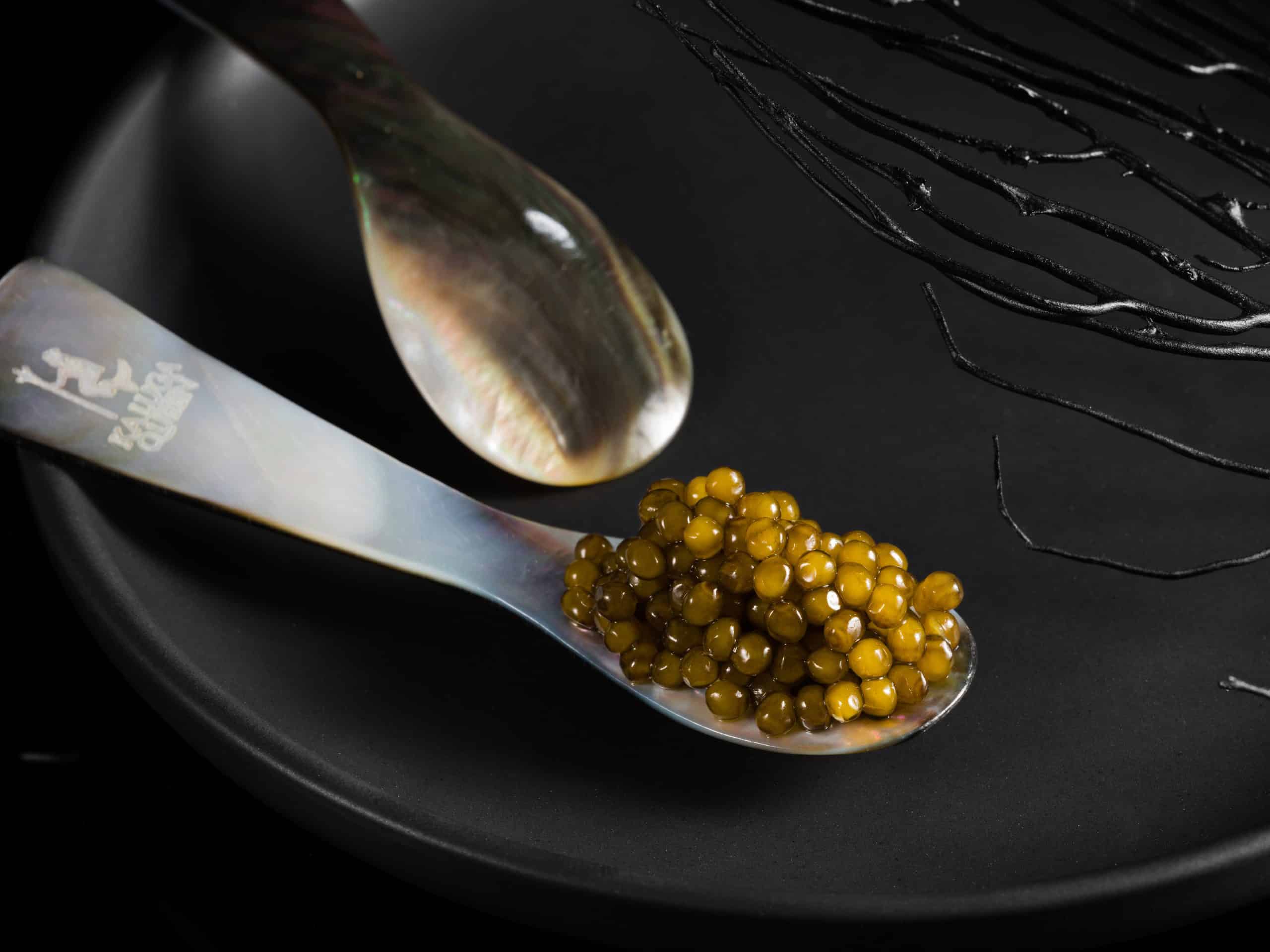 Sturgeon Caviar AMUR ROYAL, 100g