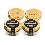 Sturgeon caviar set, 4x50g